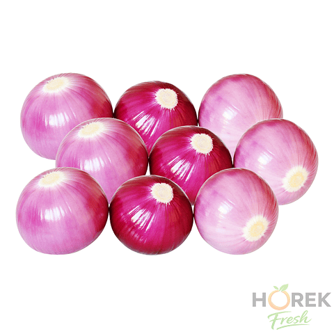 CEBOLLA MORADA PELADA 500 GR