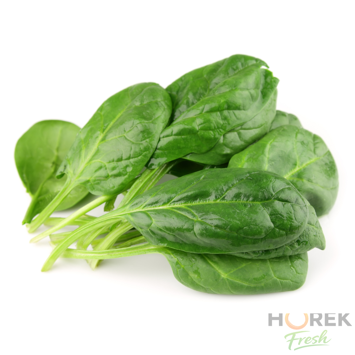 HOJA ESPINACA ENTERA 500 GR 1