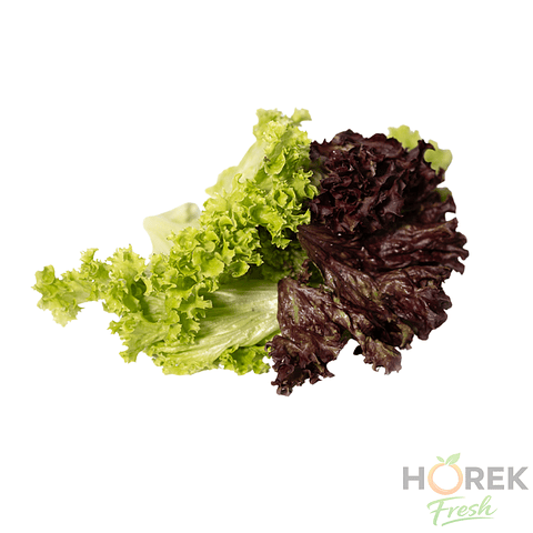 MIX HIDROPONICO LOLOROSA/MARINA 500 GR