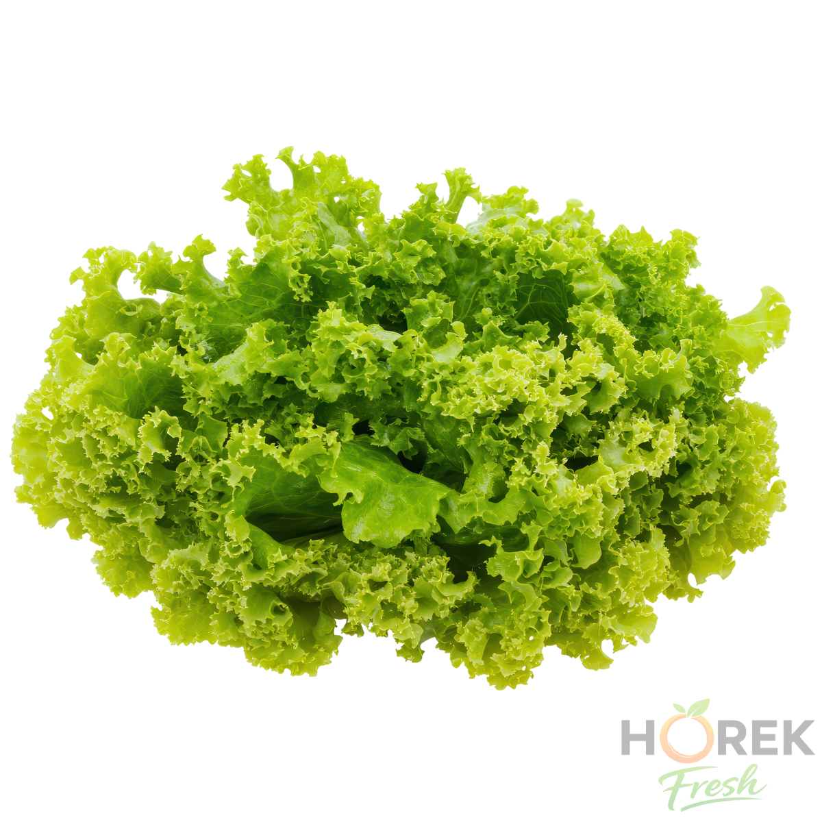 HOJA LECHUGA MARINA 500 GR 1