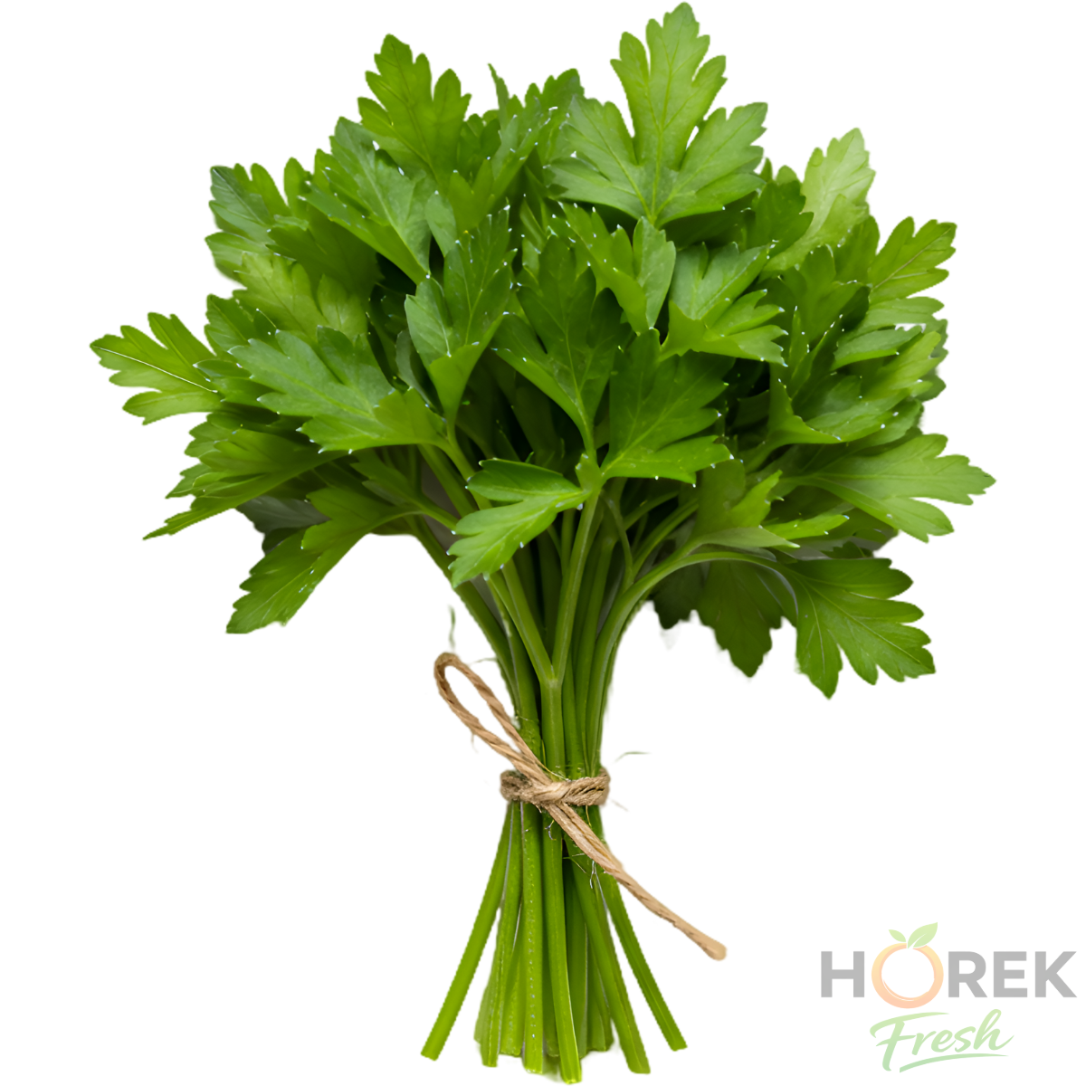 PEREJIL LISO PAQUETE 250 GR 1