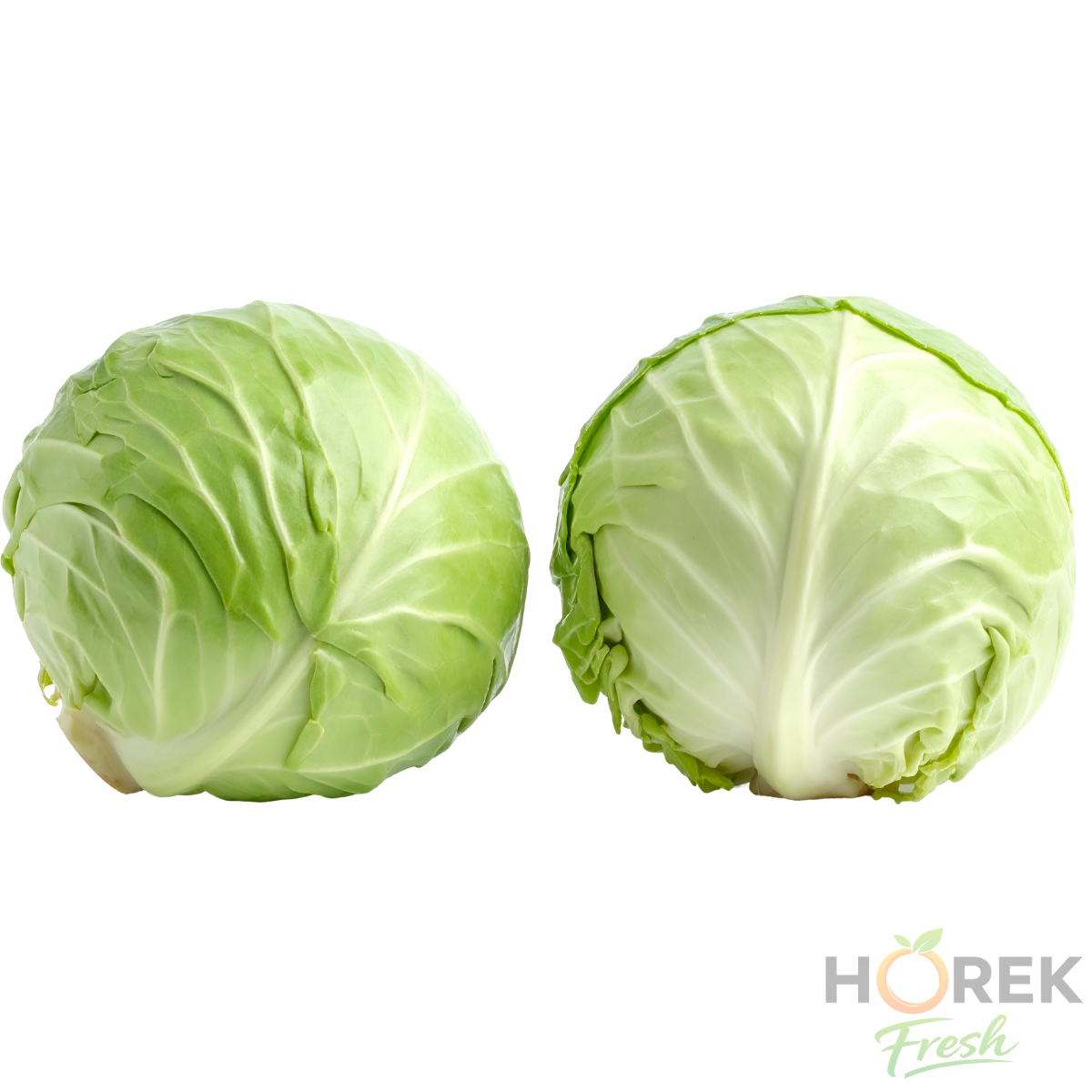 REPOLLO CRESPO UNIDAD 1