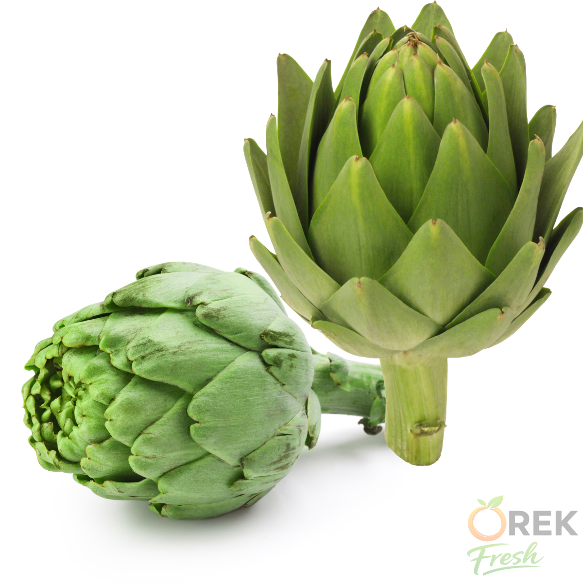 ALCACHOFA ESPANOLA UNIDAD 1