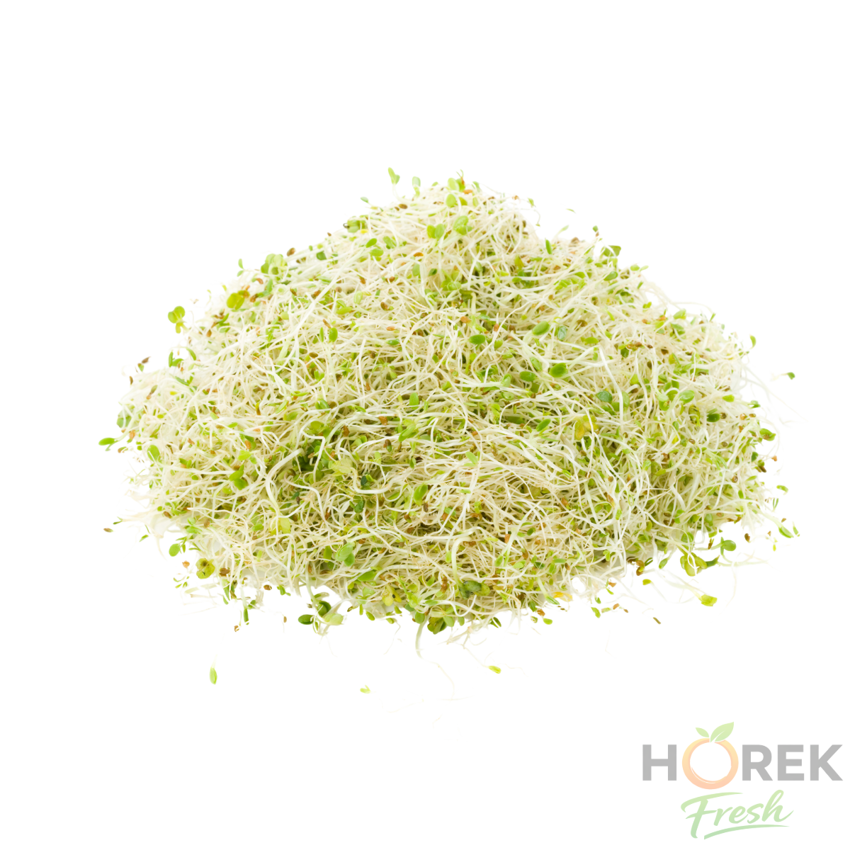 BROTE DE ALFALFA BANDEJA 150 GR 1