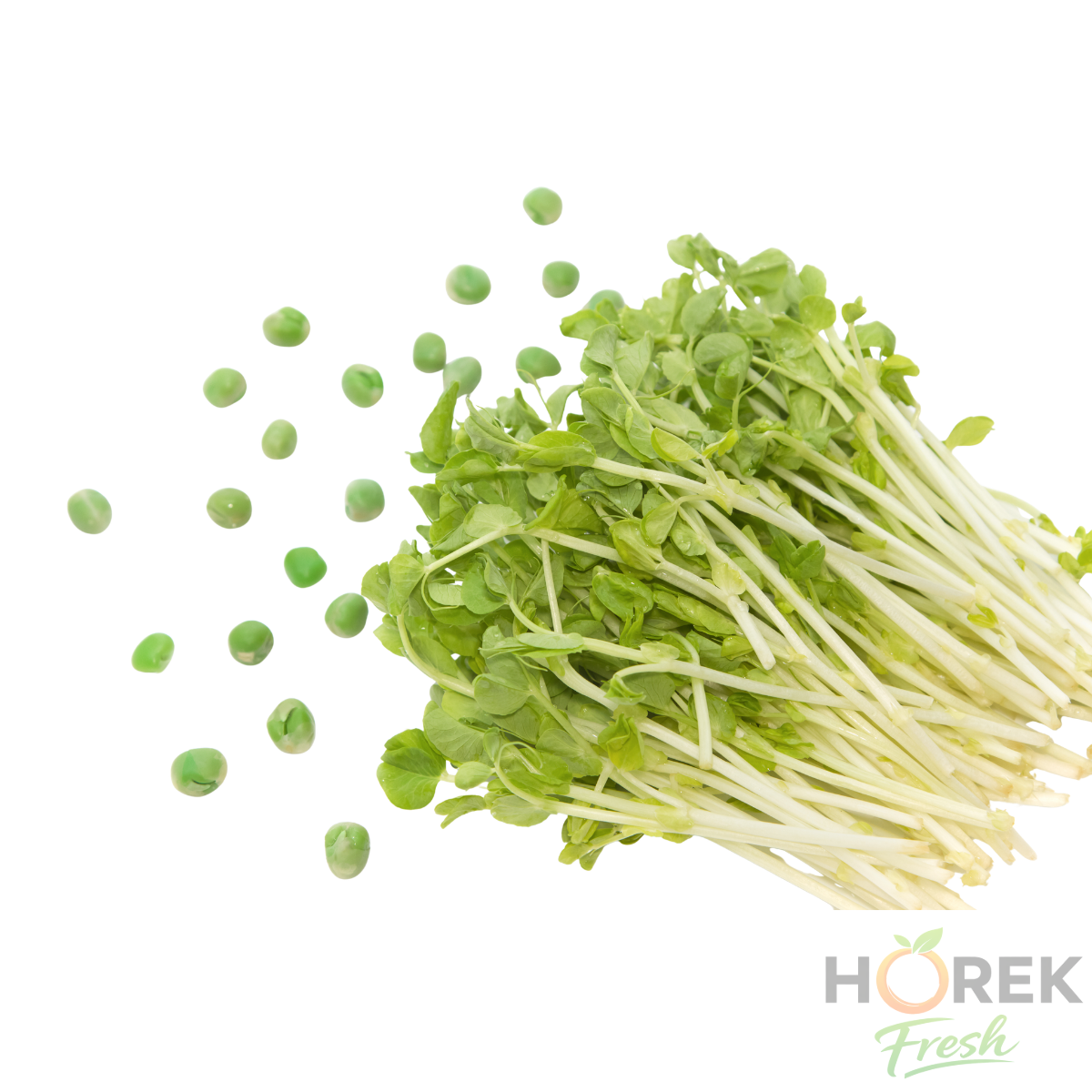 BROTE DE ARVEJA BANDEJA 150 GR 1