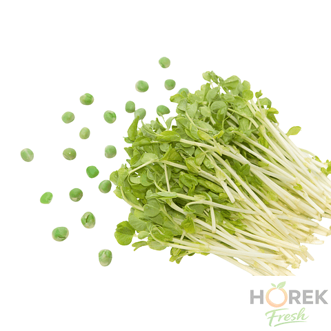 BROTE DE ARVEJA BANDEJA 150 GR