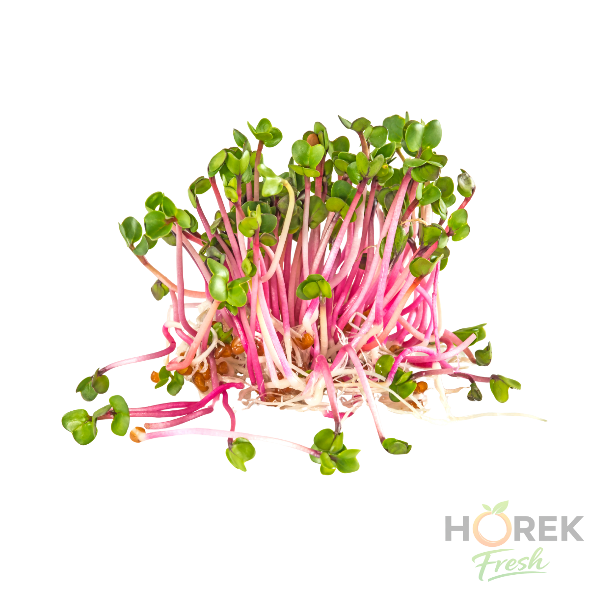 BROTE DE RABANITO BANDEJA 150 GR 1