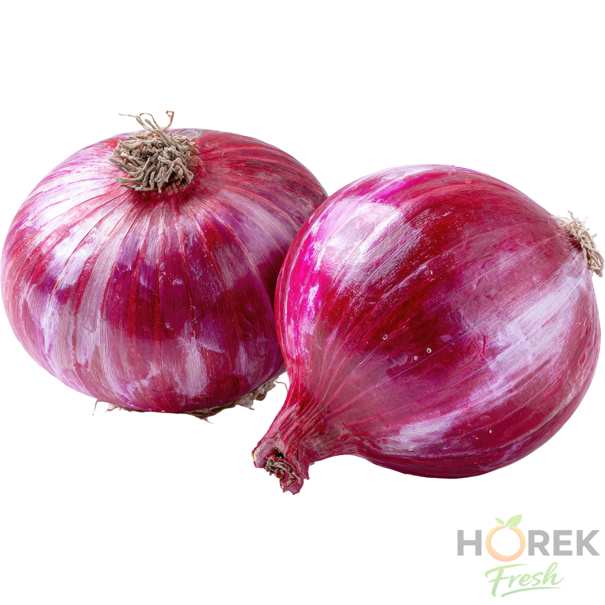 CEBOLLA MORADA UNIDAD 1