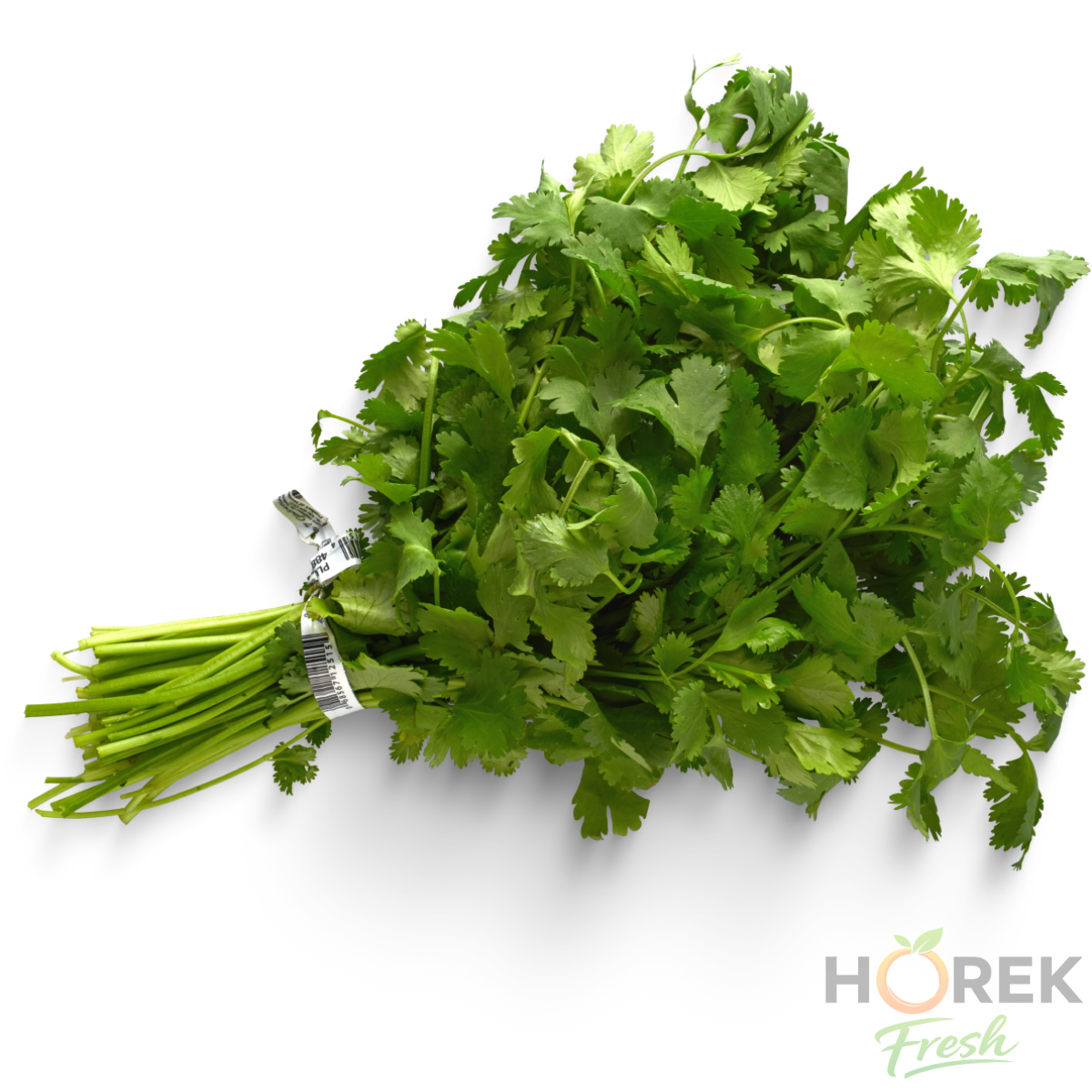 CILANTRO PAQUETE 250 GR 1
