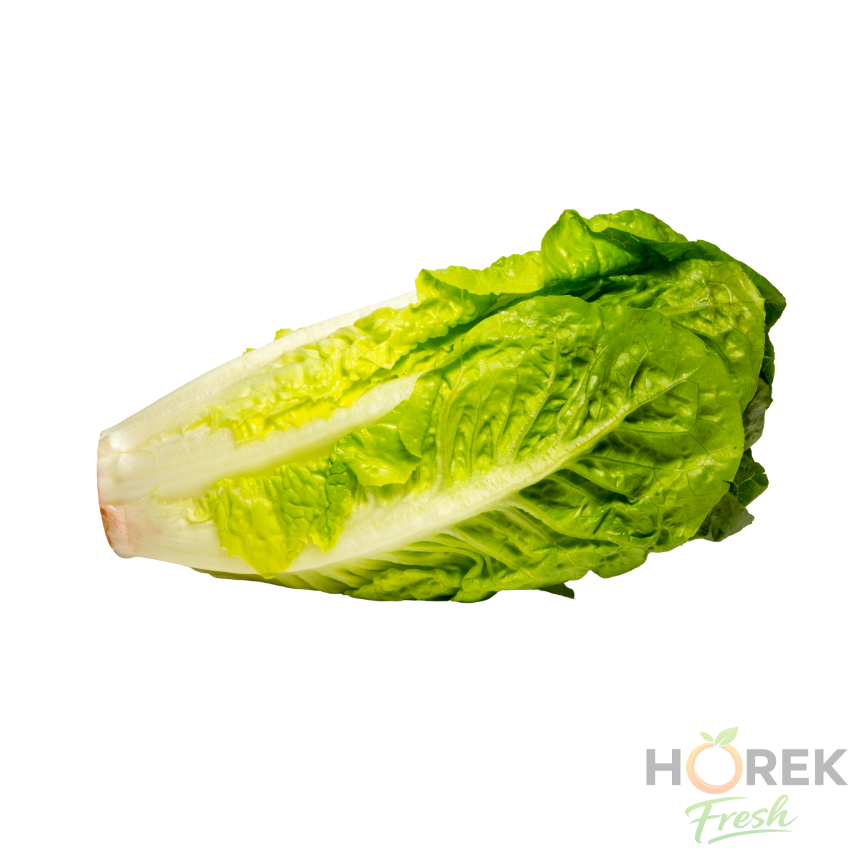 LECHUGA COSTINA C/RES UNIDAD 1