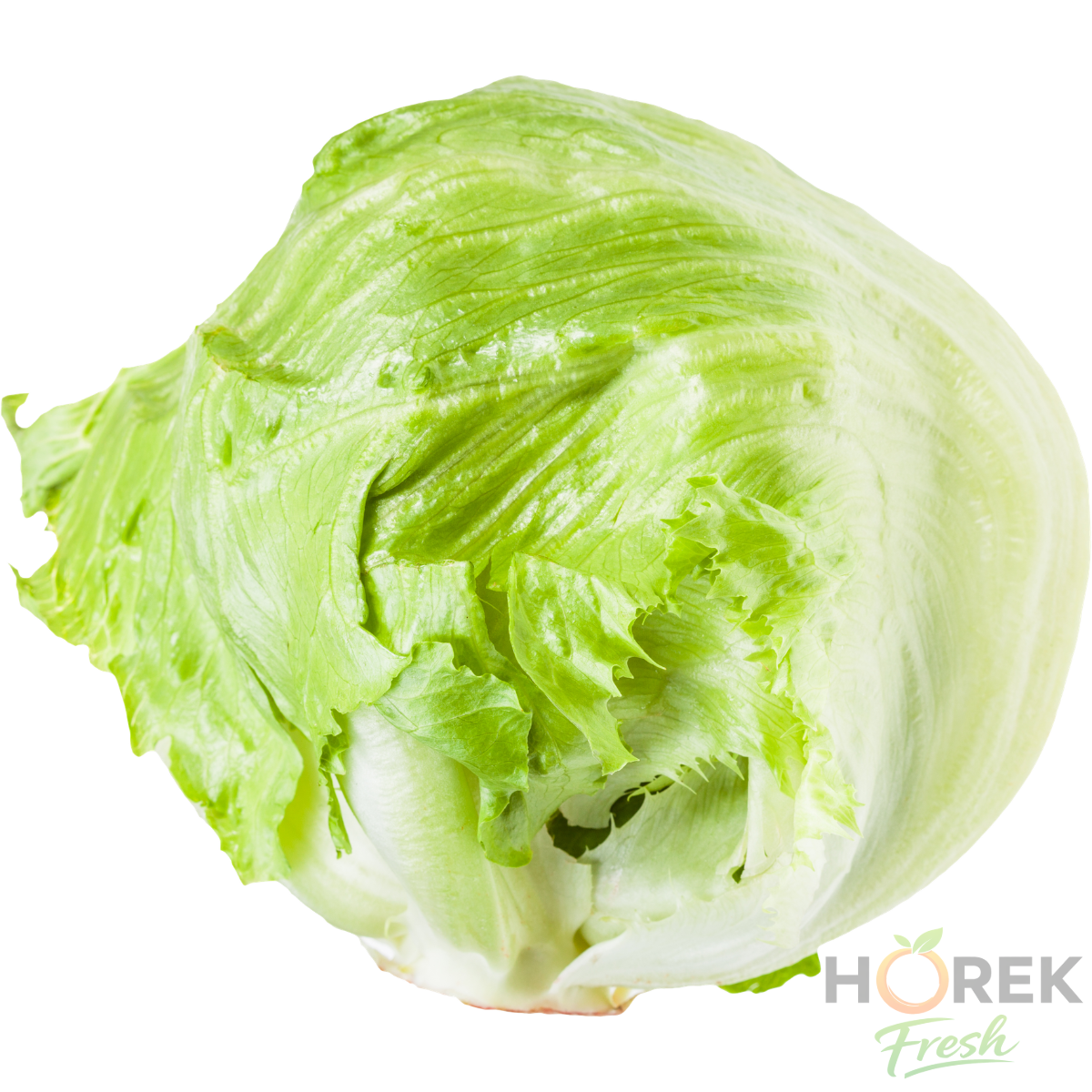 LECHUGA ESCAROLA C/RES UNIDAD 1