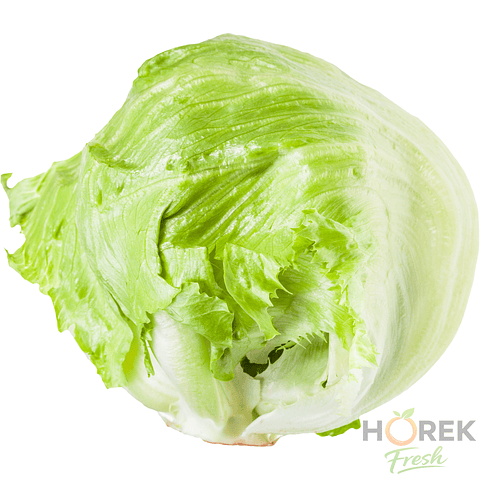 LECHUGA ESCAROLA C/RES UNIDAD