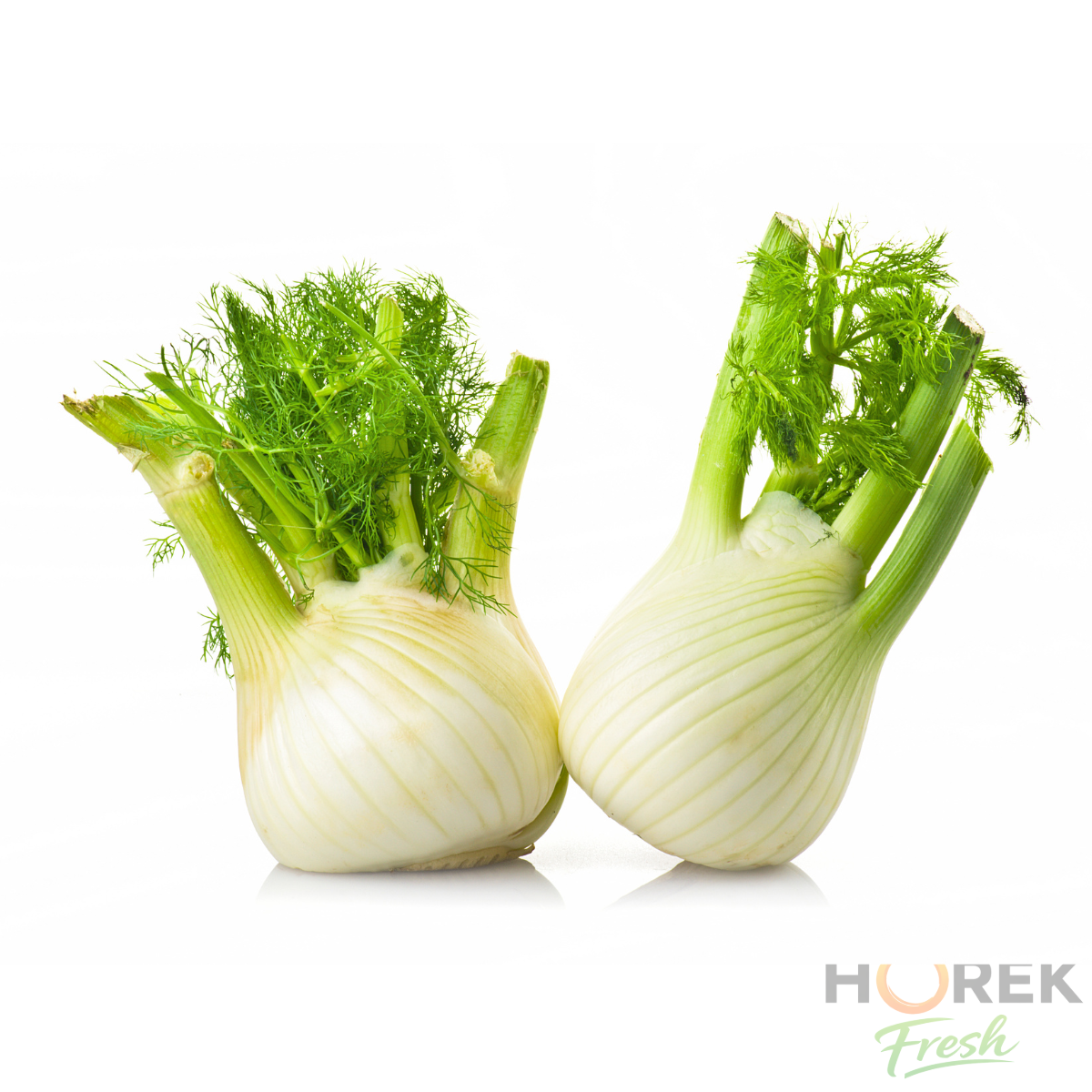 PAPA HINOJO UNIDAD 1