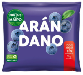 ARANDANO CONGELADO KILO 1