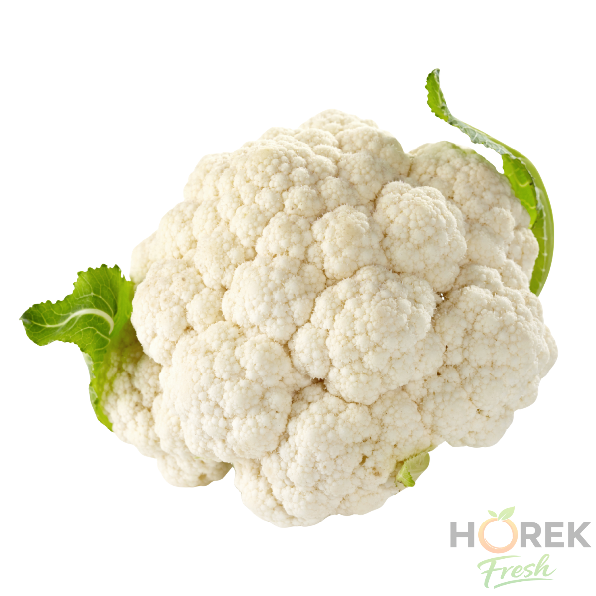 COLIFLOR UNIDAD 1