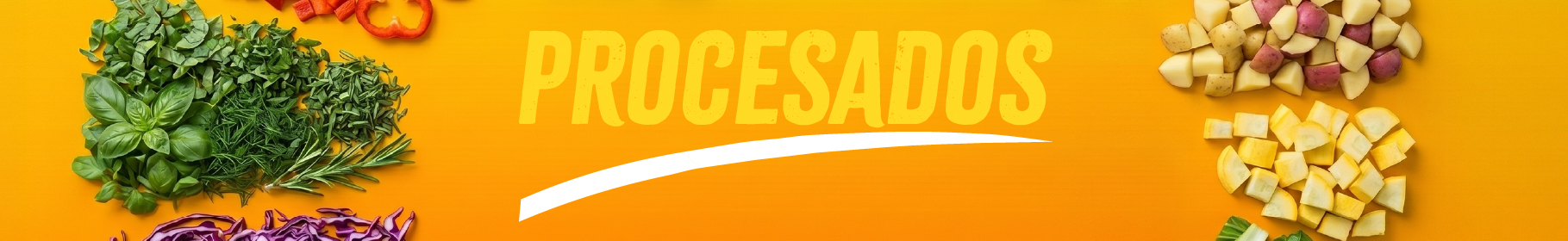 PROCESADOS