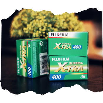 Roll Review: Fujifilm Superia Xtra 400 