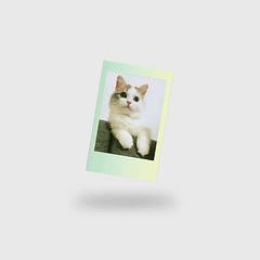 Película Fujifilm Instax Mini Macaron 10 Fotos