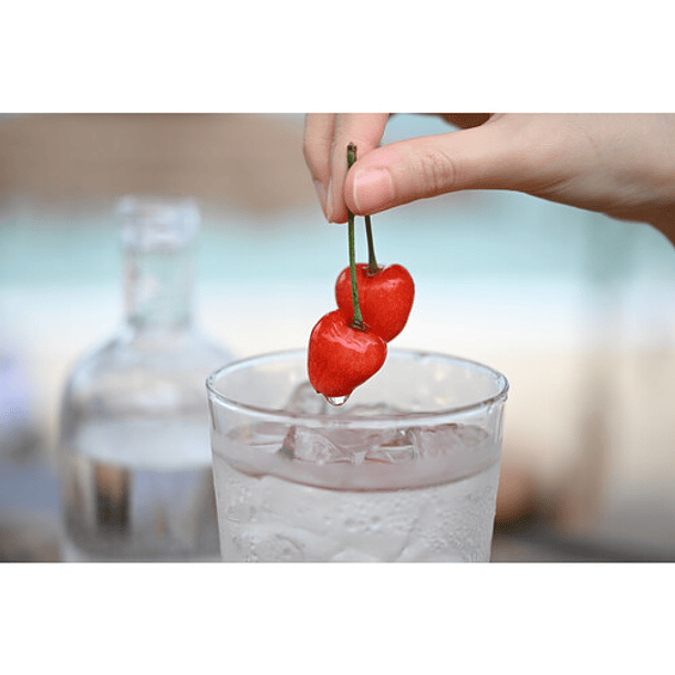 Nikon NIKKOR Z 24-70mm f/2.8 S II (Nikon Z) 9