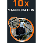 Bushnell Binoculares 10x42 H2O Roof Prism (Dark Blue) 11