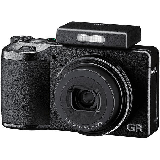 Ricoh GF-2  6