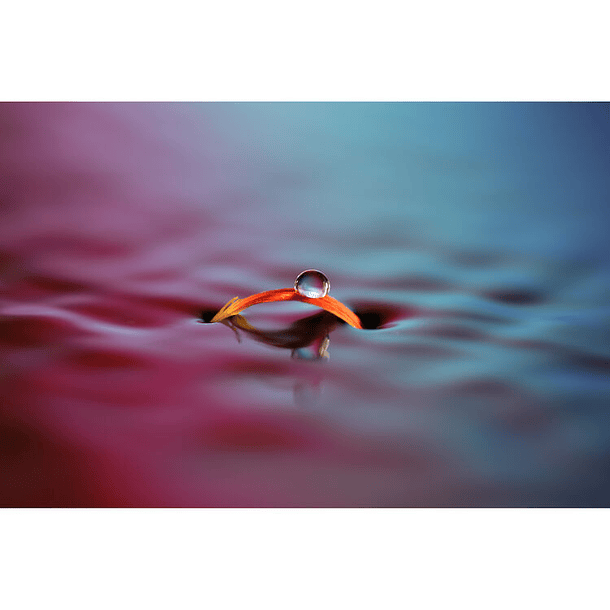 Sony FE 100mm f/2.8 Macro GM Lens (Sony E) 13