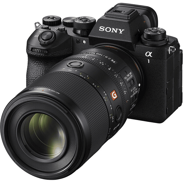Sony FE 100mm f/2.8 Macro GM Lens (Sony E) 7
