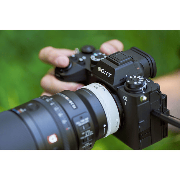 Sony FE 100mm f/2.8 Macro GM Lens (Sony E) 8