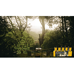 Kodak ProImage 100 Film 35mm