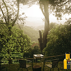 Kodak ProImage 100 Film 35mm 2