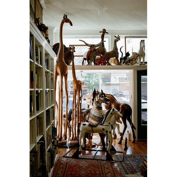 Kodak Kodacolor 100 Color (35mm, 36exp) 3