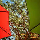 Kodak Eastman GOLD 200 Color Negative Film (35mm, 36exp) 4