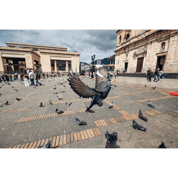 Tamron 16-30mm f/2.8 Di III VXD G2 27