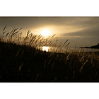 Tamron 16-30mm f/2.8 Di III VXD G2 28