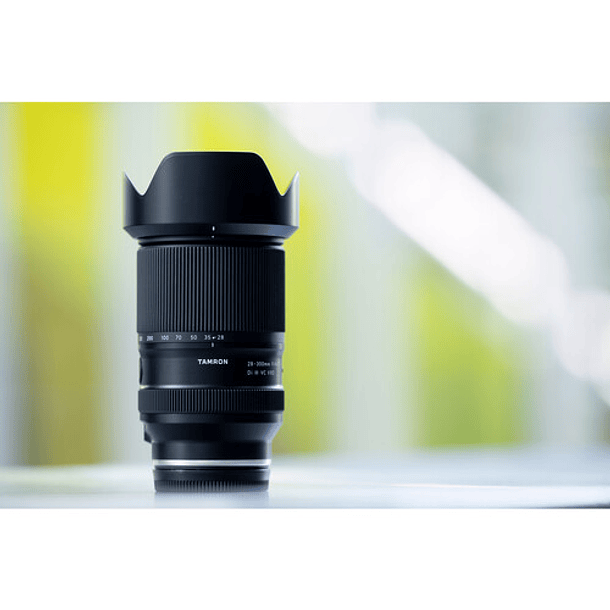 Tamron 28-300mm f/4-7.1 Di III VC VXD (Sony E) 9