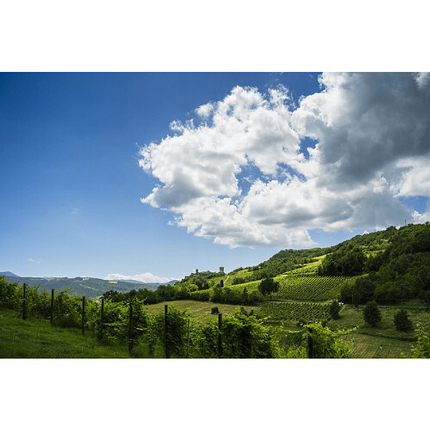 Tamron 28-300mm f/4-7.1 Di III VC VXD (Sony E) 14