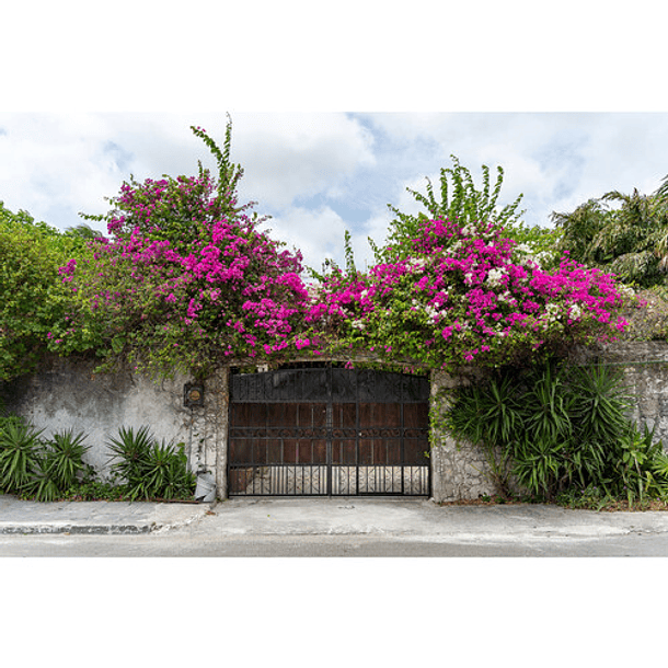 Tamron 28-300mm f/4-7.1 Di III VC VXD (Sony E) 24