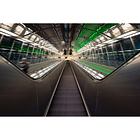 Sigma 15mm f/1.4 DC Contemporary 10