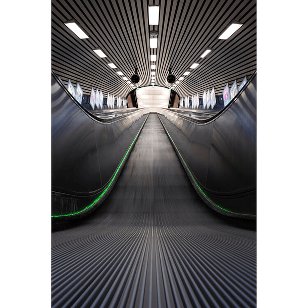 Sigma 15mm f/1.4 DC Contemporary 13