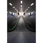 Sigma 15mm f/1.4 DC Contemporary 13