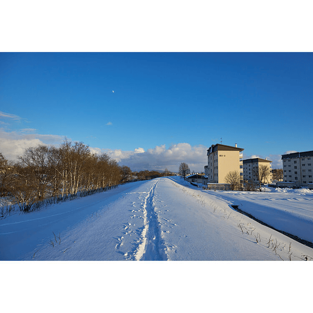 Sigma 15mm f/1.4 DC Contemporary 16