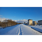 Sigma 15mm f/1.4 DC Contemporary 16