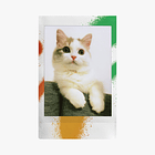 FUJIFILM INSTAX MINI SPRAY ART FILMS (10 SHOTS) 2