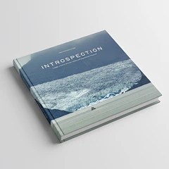 Cristian Dinivitzer - INTROSPECTION