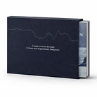 Cristian Dinivitzer - INTROSPECTION 2