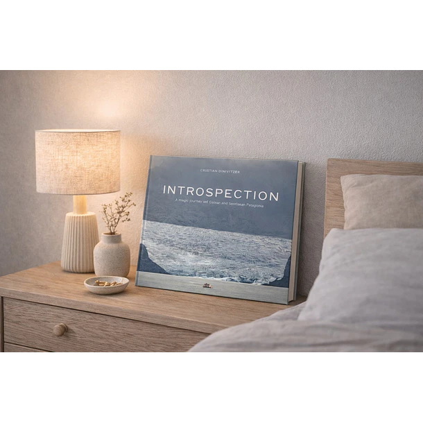 Cristian Dinivitzer - INTROSPECTION 3
