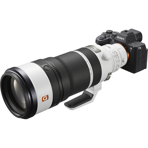 Sony FE 100-400mm f/4.5 GM OSS 7