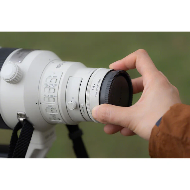 Sony FE 100-400mm f/4.5 GM OSS 5