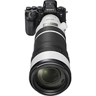 Sony FE 100-400mm f/4.5 GM OSS 8