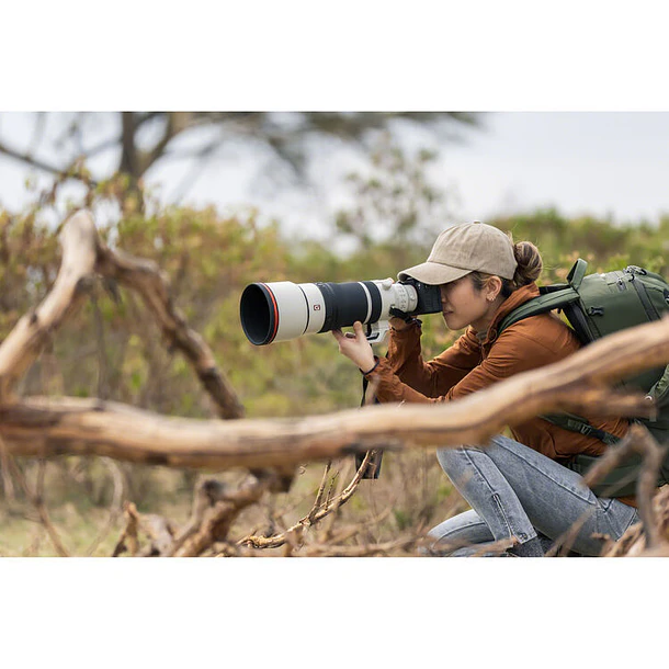 Sony FE 100-400mm f/4.5 GM OSS 13